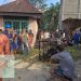 Fenomena Remaja Hidup Layaknya Anjing dan Kucing Viral di Media Sosial