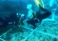 Ahli Temukan Kuburan Massal Bawah Laut Berisi 150 Bangkai Kapal