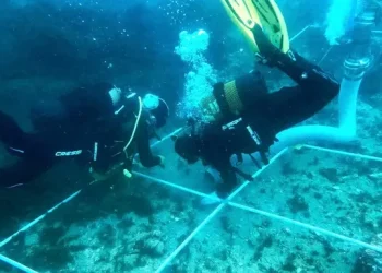 Ahli Temukan Kuburan Massal Bawah Laut Berisi 150 Bangkai Kapal