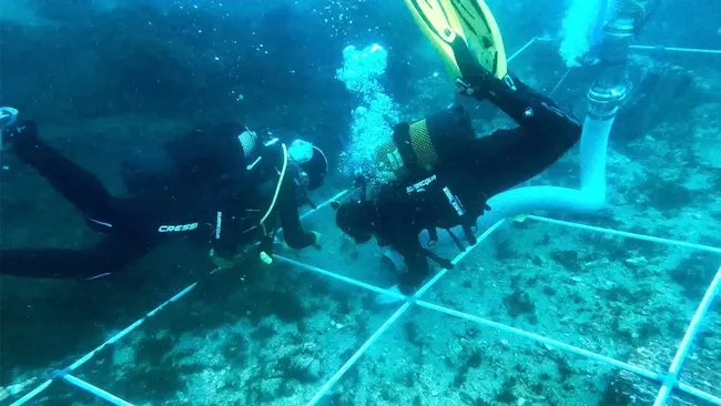 Ahli Temukan Kuburan Massal Bawah Laut Berisi 150 Bangkai Kapal