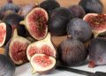 Harga Batu Bara Kembali Menguat, Permintaan Global Masih Tinggi