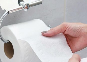 Tisu atau Air? Ini Alasan Kebiasaan Bersih Diri Berbeda di Barat dan Asia