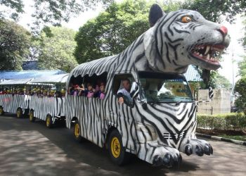 HUT Jakarta 2026: Ragunan Berlakukan Tiket Masuk Gratis bagi Pemilik KTP DKI