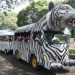 HUT Jakarta 2026: Ragunan Berlakukan Tiket Masuk Gratis bagi Pemilik KTP DKI