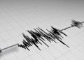 BMKG: Gempa Magnitudo 3,5 Guncang Pacitan 2026 Tidak Picu Tsunami