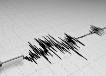 BMKG: Gempa Magnitudo 3,5 Guncang Pacitan 2026 Tidak Picu Tsunami
