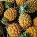 Buah Asli Indonesia Ini Pernah Jadi Simbol Kemewahan di Eropa