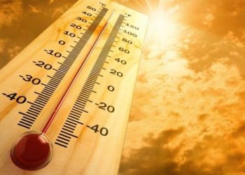 AS Dilanda Panas Ekstrem, Korban Jiwa Bertambah Jadi 25 Orang