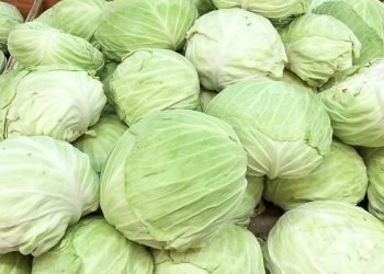 Kolang-kaling Baik untuk Kulit, Tapi Benarkah Mengandung Kolagen?