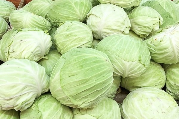 Kolang-kaling Baik untuk Kulit, Tapi Benarkah Mengandung Kolagen?