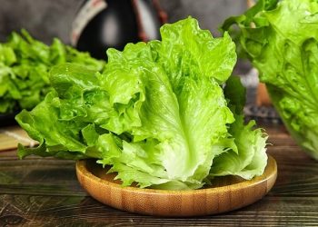 Apakah Konsumsi Selada Benar-Benar Baik untuk Kesehatan? Simak Penjelasannya
