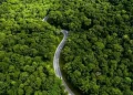 BEI Luncurkan Green Equity Designation bagi Perusahaan Tercatat