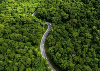 BEI Luncurkan Green Equity Designation bagi Perusahaan Tercatat