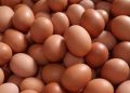 Benarkah Makan 5 Butir Telur Seminggu Bisa Menjaga Kesehatan Otak? Ini Hasil Studinya