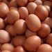 Benarkah Makan 5 Butir Telur Seminggu Bisa Menjaga Kesehatan Otak? Ini Hasil Studinya