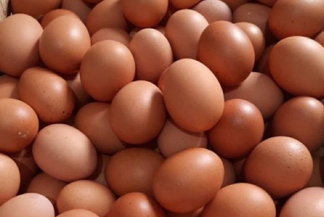 Benarkah Makan 5 Butir Telur Seminggu Bisa Menjaga Kesehatan Otak? Ini Hasil Studinya