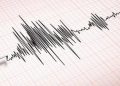 BMKG Catat Gempa Magnitudo 2,3 Guncang Kabupaten Sigi