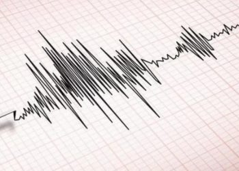 BMKG Catat Gempa Magnitudo 2,3 Guncang Kabupaten Sigi