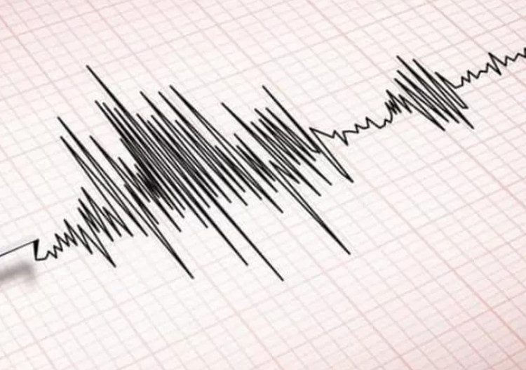 BMKG Catat Gempa Magnitudo 2,3 Guncang Kabupaten Sigi