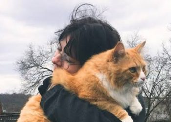 Tiga Ras Kucing Favorit Pecinta Anabul, Kenali Karakter dan Keunikannya
