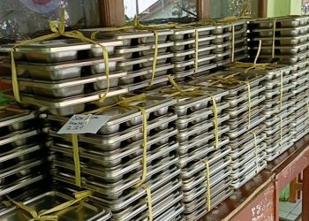Putusan MK soal MBG Dinilai Jadi Momentum Pemerintah Benahi Program