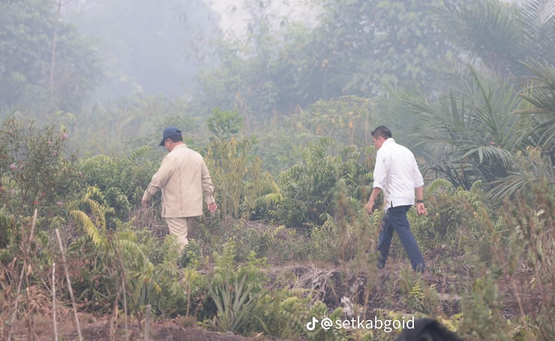 Terbukti Bakar Hutan, Prabowo Pastikan Korporasi Ditindak