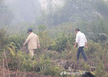 Terbukti Bakar Hutan, Prabowo Pastikan Korporasi Ditindak