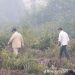 Terbukti Bakar Hutan, Prabowo Pastikan Korporasi Ditindak