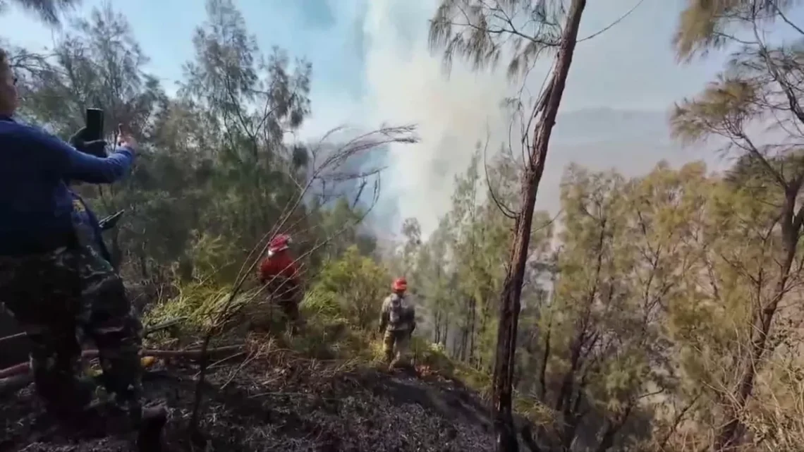 Titik Api di Bromo Hilang, Petugas Tetap Lanjutkan Pembasahan