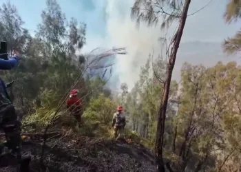 Titik Api di Bromo Hilang, Petugas Tetap Lanjutkan Pembasahan