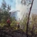 Titik Api di Bromo Hilang, Petugas Tetap Lanjutkan Pembasahan