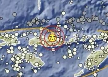 Gempa M7,7 Guncang Flores, BMKG Keluarkan Peringatan Potensi Tsunami