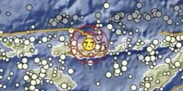 Gempa M7,7 Guncang Flores, BMKG Keluarkan Peringatan Potensi Tsunami