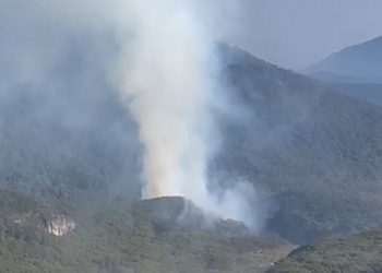 Gunung Gede Dilanda Kebakaran, Angin Kencang Bikin Api Cepat Menjalar