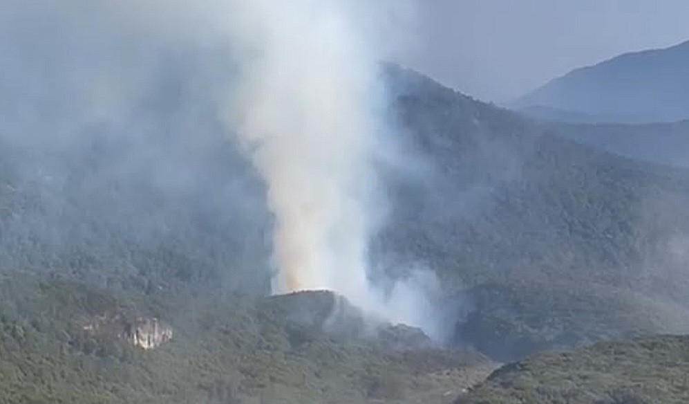 Gunung Gede Dilanda Kebakaran, Angin Kencang Bikin Api Cepat Menjalar