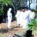 Polisi Bongkar Makam Sutrimo di Banyumas untuk Pemeriksaan Forensik