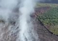Kabut Asap Ganggu Malaysia, Kemenlu Pastikan Karhutla Kalimantan Ditangani