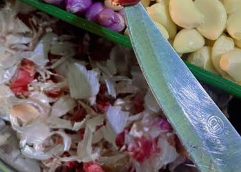 Bikin Heboh! Prabowo Sebut Upah Buruh Kupas Bawang Rp700 Ribu per Kg