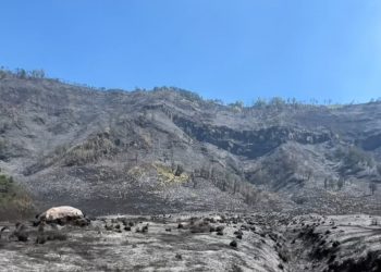 Bromo Masih Dipantau, Kemenhut Cegah Bara Api Kembali Menyala