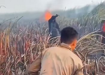 Pemadaman Karhutla Terkendala, Sumber Air Kian Menipis