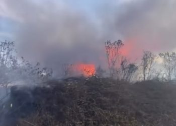 Diduga Bakar Lahan demi Buka Pertanian, Pasutri Ditangkap