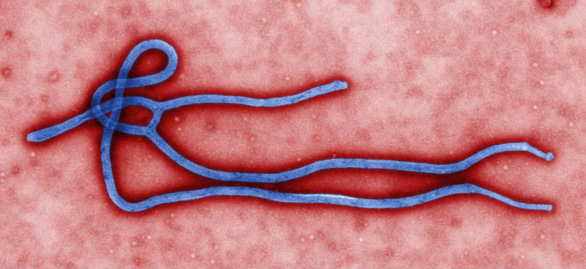 wabah Ebola di Kongo