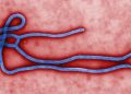 wabah Ebola di Kongo