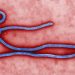 wabah Ebola di Kongo