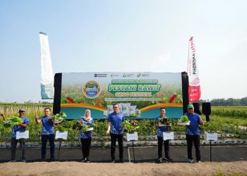 Festival Petrokimia Gresik Buktikan Budidaya Berbasis Teknologi Tingkatkan Panen Cabai