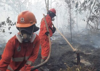Pemerintah mengerahkan 12.880 personel gabungan untuk menangani karhutla di Kalimantan Barat, Kalimantan Tengah, dan Kalimantan Selatan (Foto/Kemenhut)