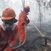Pemerintah mengerahkan 12.880 personel gabungan untuk menangani karhutla di Kalimantan Barat, Kalimantan Tengah, dan Kalimantan Selatan (Foto/Kemenhut)