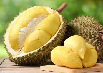 Tape dan durian mengandung alkohol alami dari fermentasi, tetapi tetap halal selama tidak memabukkan dan memenuhi ketentuan syariat.