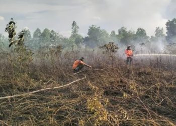 BNPB: Karhutla Meluas, Kekeringan Mulai Berdampak di Sejumlah Daerah
