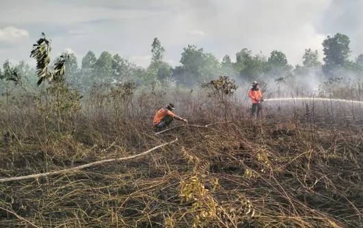 BNPB: Karhutla Meluas, Kekeringan Mulai Berdampak di Sejumlah Daerah
